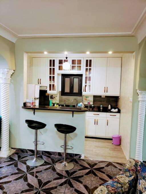 Apartment Zamalek Towers *